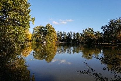 Les énergies de l'automne